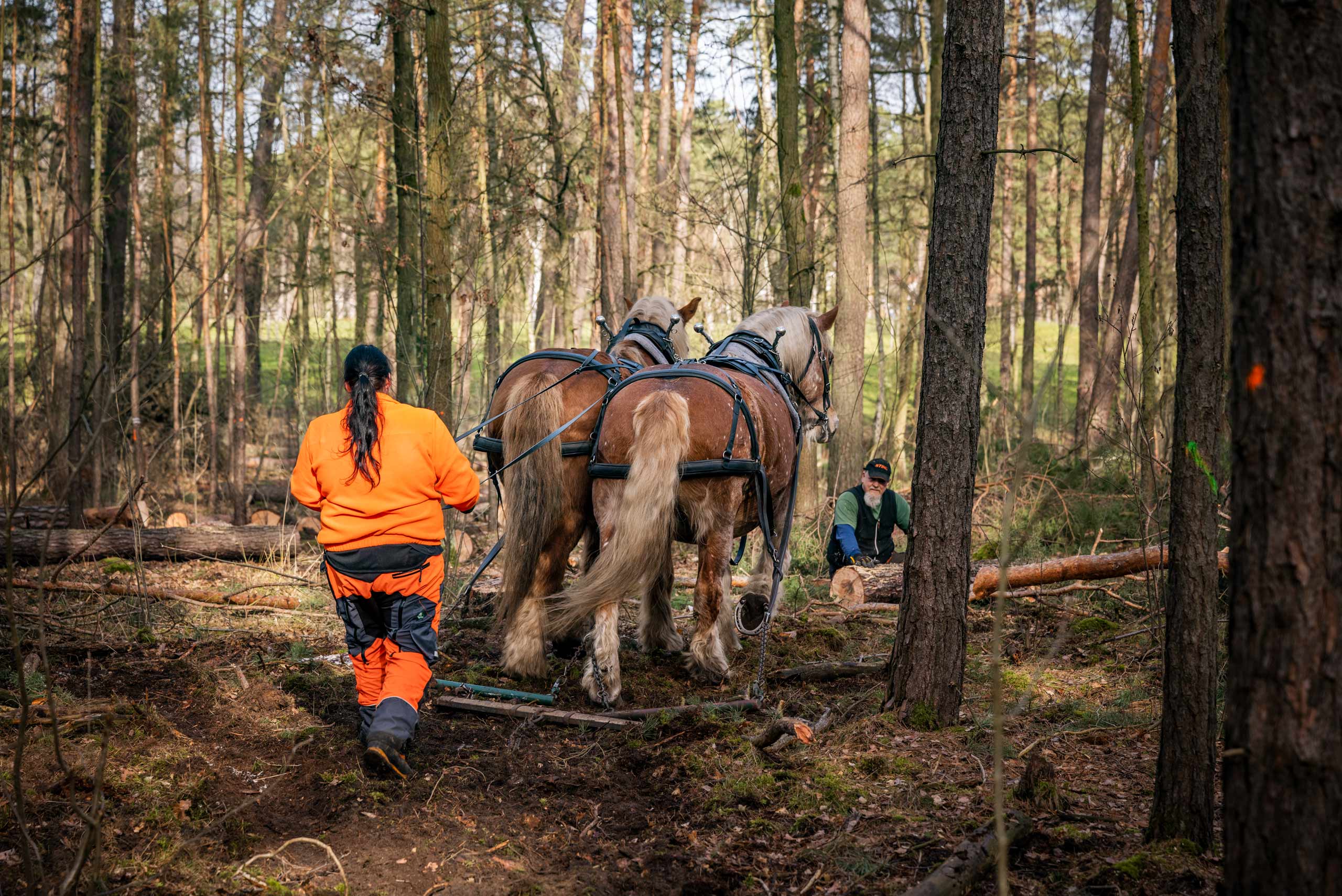 Reportage und Portraits von Arbeiten im Forst 