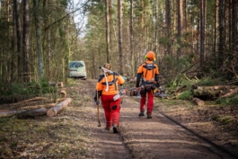 Reportage und Portraits von Arbeiten im Forst 