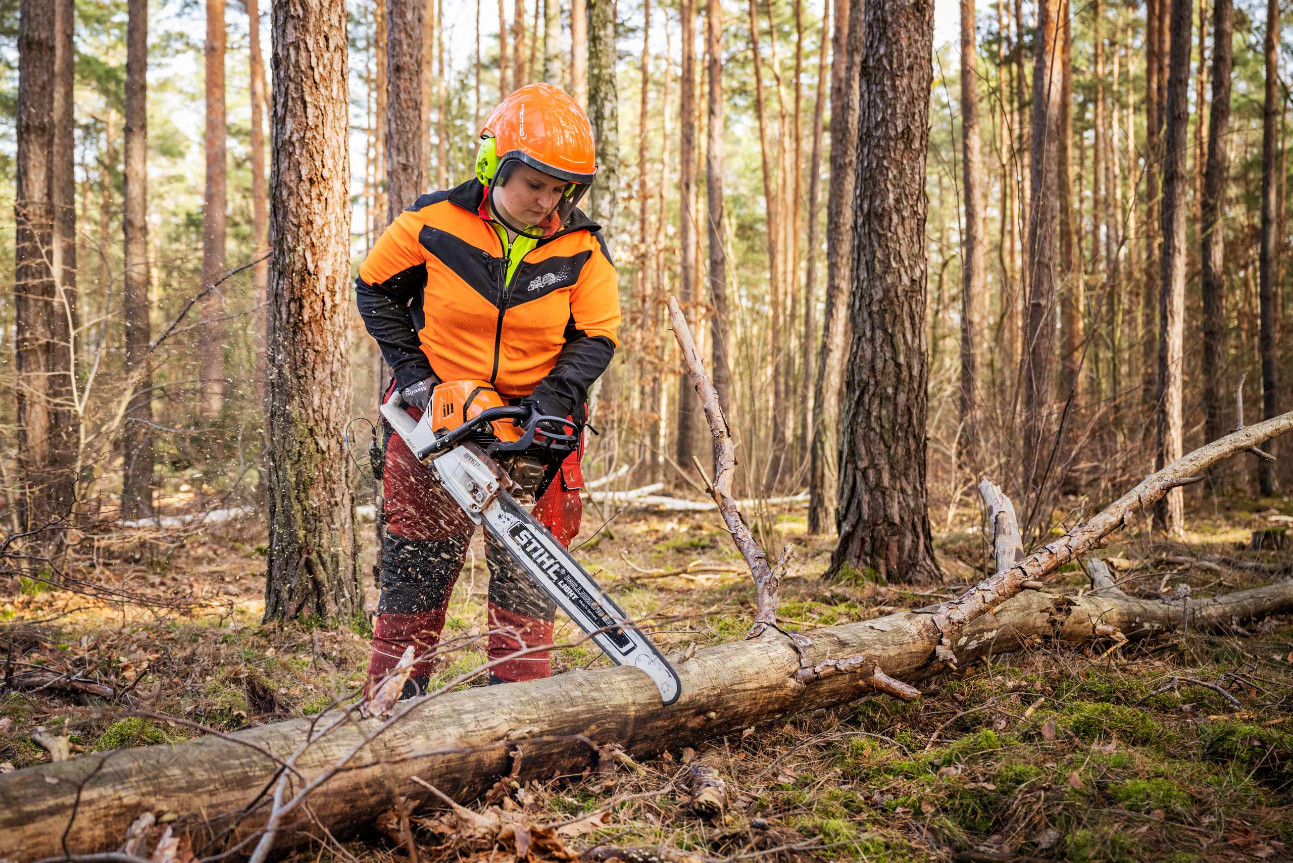 Reportage und Portraits von Arbeiten im Forst 