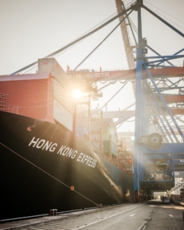 Containerschiff im Hafen von Hamburg 